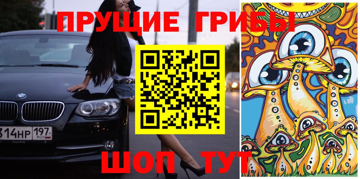 Сафоново  Галлюциногенные грибы Psilocybine cubensis  Вход с VPN 