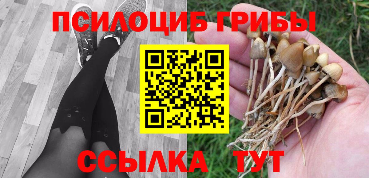 Псилоцибиновые грибы мухоморы Сафоново